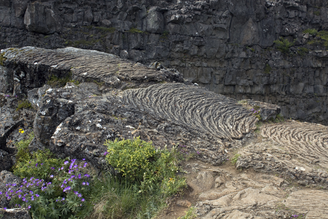 2011-07-08_15-22-40 island.jpg - Im Pingvellir, dem Nationalheiligtum derIslnder